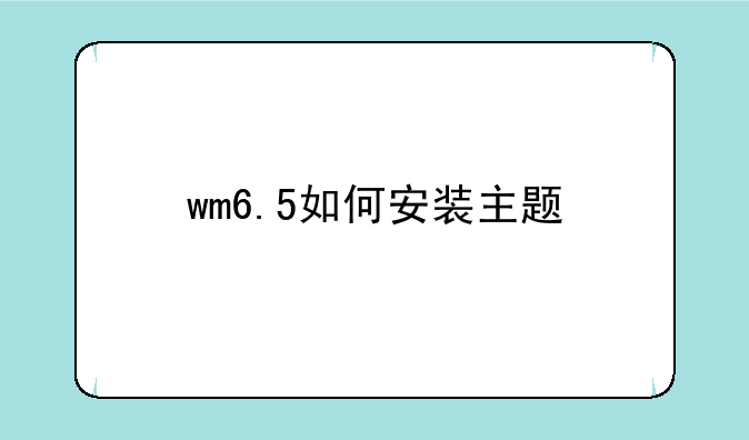 wm6.5如何安装主题