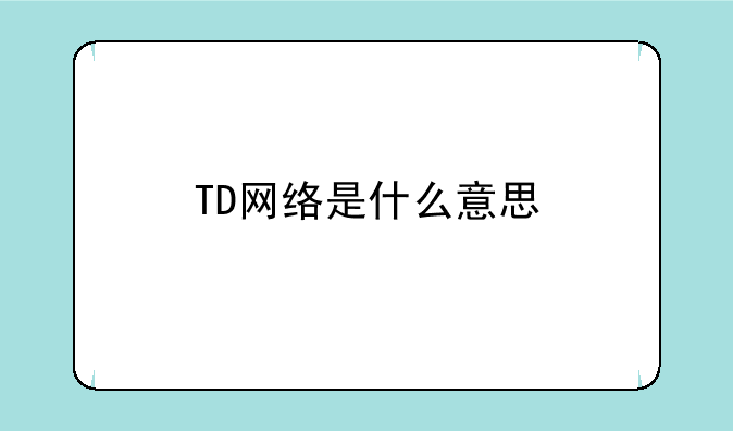 TD网络是什么意思