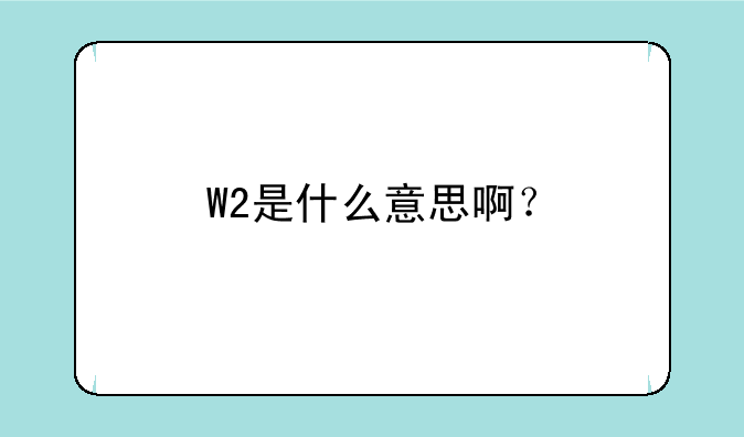 W2是什么意思啊？