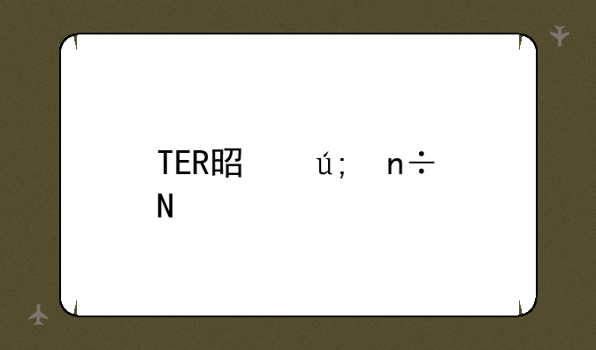 TER是美国品牌吗？