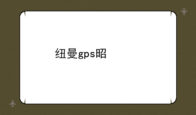 纽曼gps是贴牌的吗