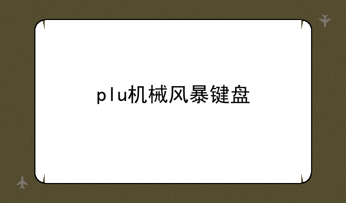 plu机械风暴键盘