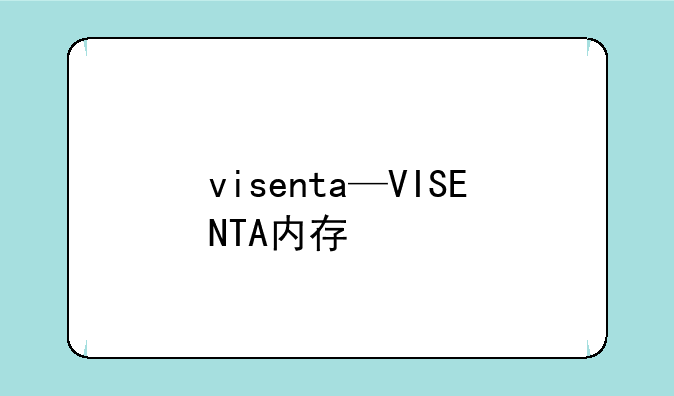 visenta—VISENTA内存