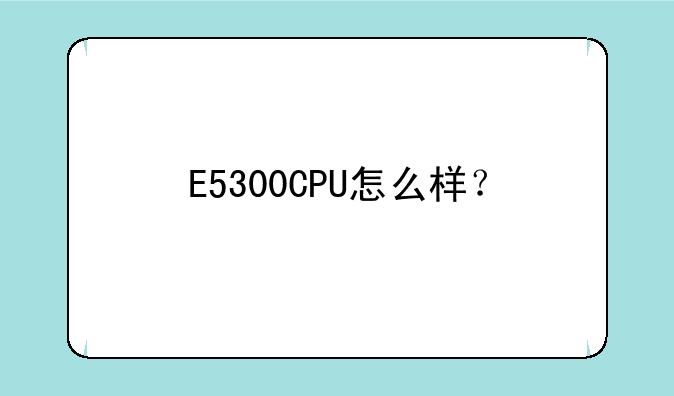 E5300CPU怎么样？