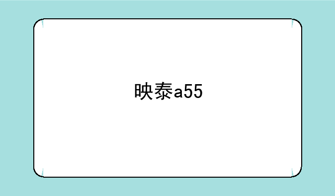 映泰a55