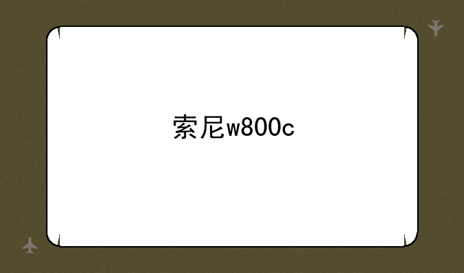 索尼w800c