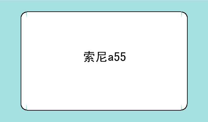 索尼a55