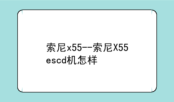 索尼x55--索尼X55escd机怎样
