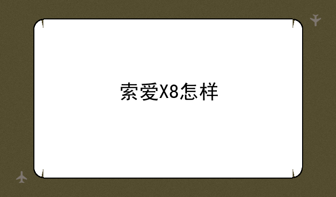 索爱X8怎样