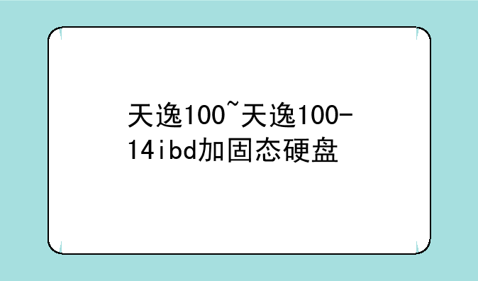天逸100~天逸100-14ibd加固态硬盘
