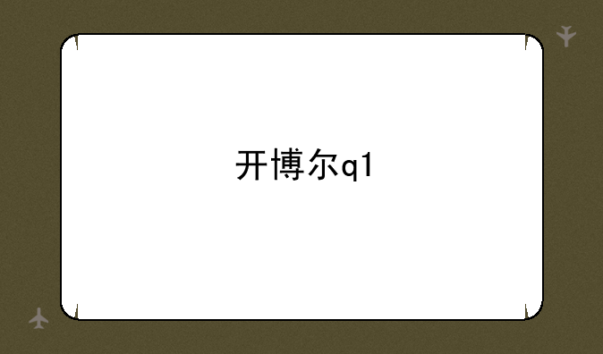 开博尔q1