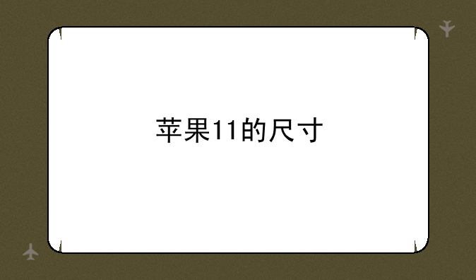 苹果11的尺寸