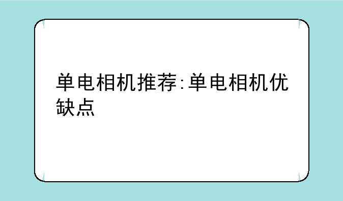 单电相机推荐:单电相机优缺点
